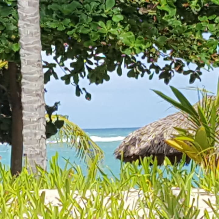 Strand TRS Turquesa Hotel - Adults only