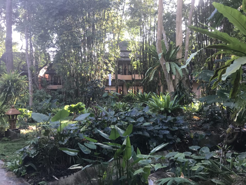 Gartenanlage Khao Lak Merlin Resort