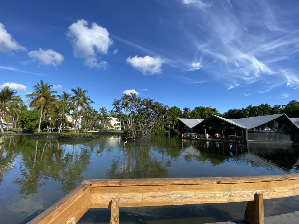 Gastro Grand Bávaro Princess