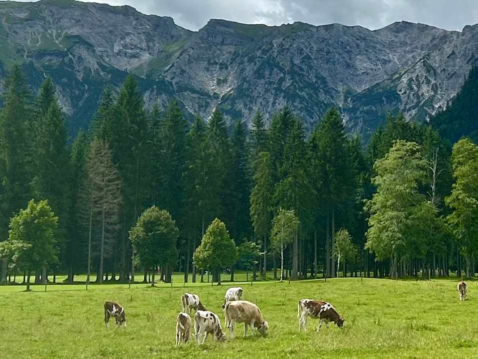 Außenansicht Wagner's Aparthotel