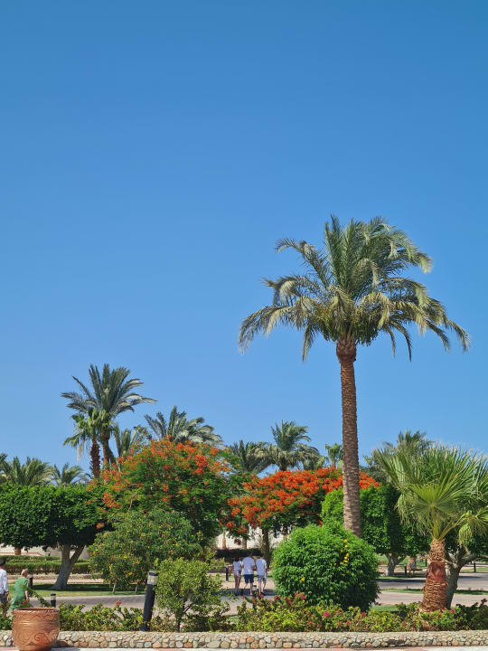 Gartenanlage Pharaoh Azur Resort