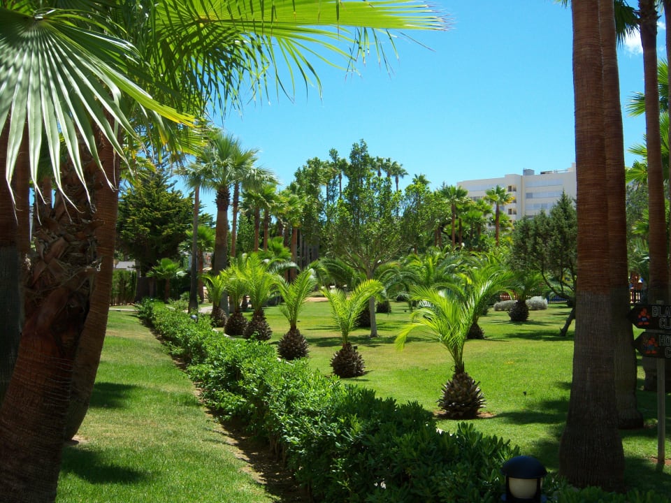 Gartenanlage Hipotels Mediterraneo Garden