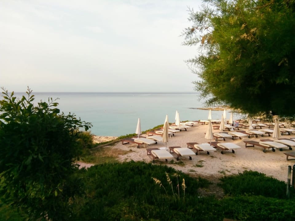 Zimmer Hotel Grecian Sands