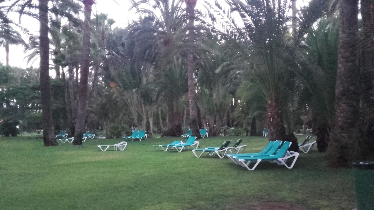 Garten Hotel Riu Palace Oasis