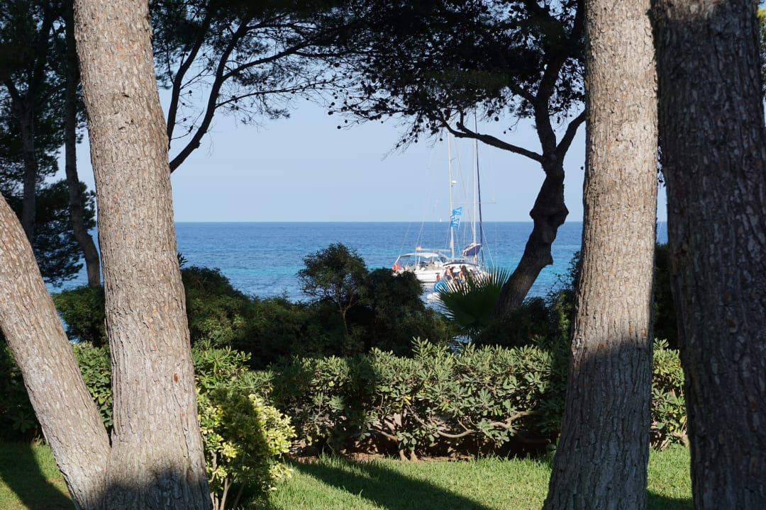 Ausblick Iberostar Waves Pinos Park