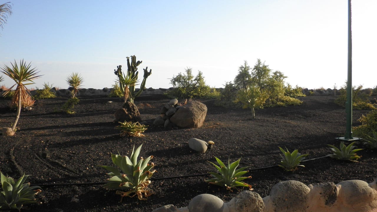 Vor unserer Terrasse SBH Hotel Royal Monica