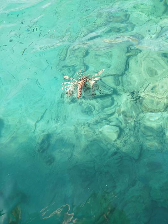 Strand Sunny Days El Palacio Resort & Spa