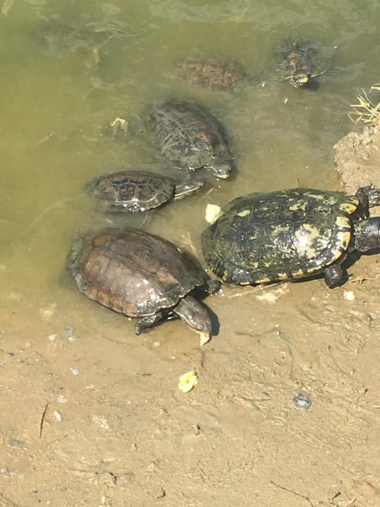 Sonstiges Aqua Fantasy Aquapark Hotel & Spa