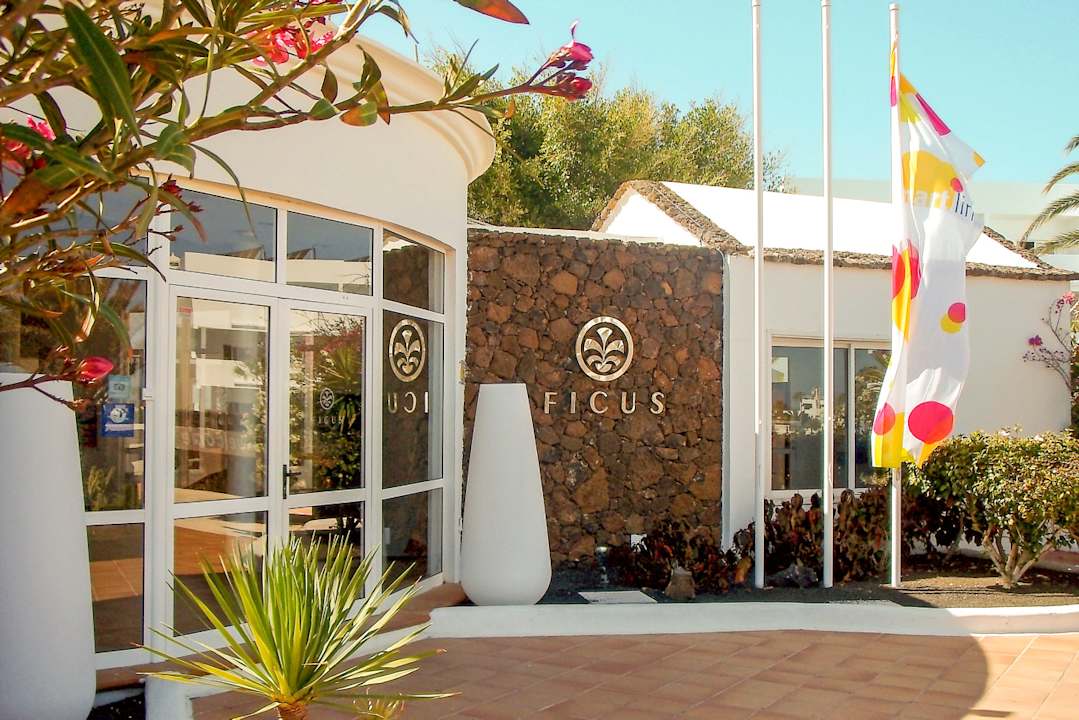 Außenansicht smartline Ficus