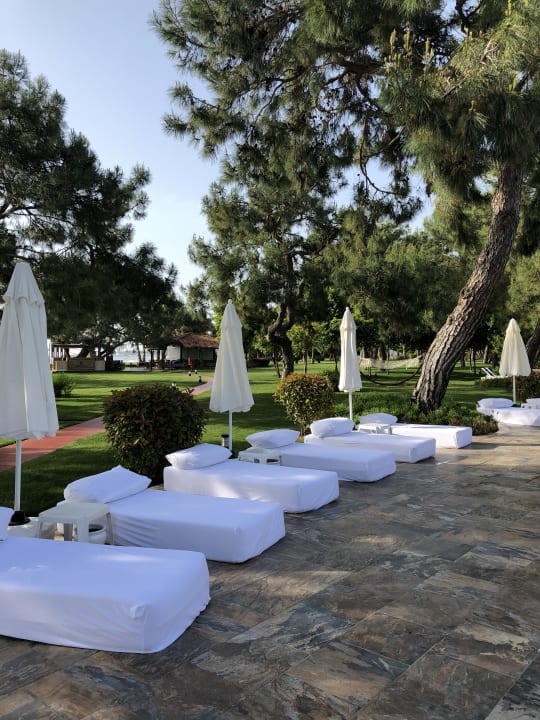 Sonstiges TUI MAGIC LIFE Beldibi +16