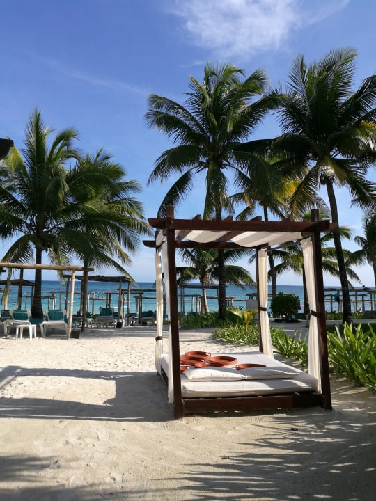 Gartenanlage Akumal Bay Beach & Wellness Resort