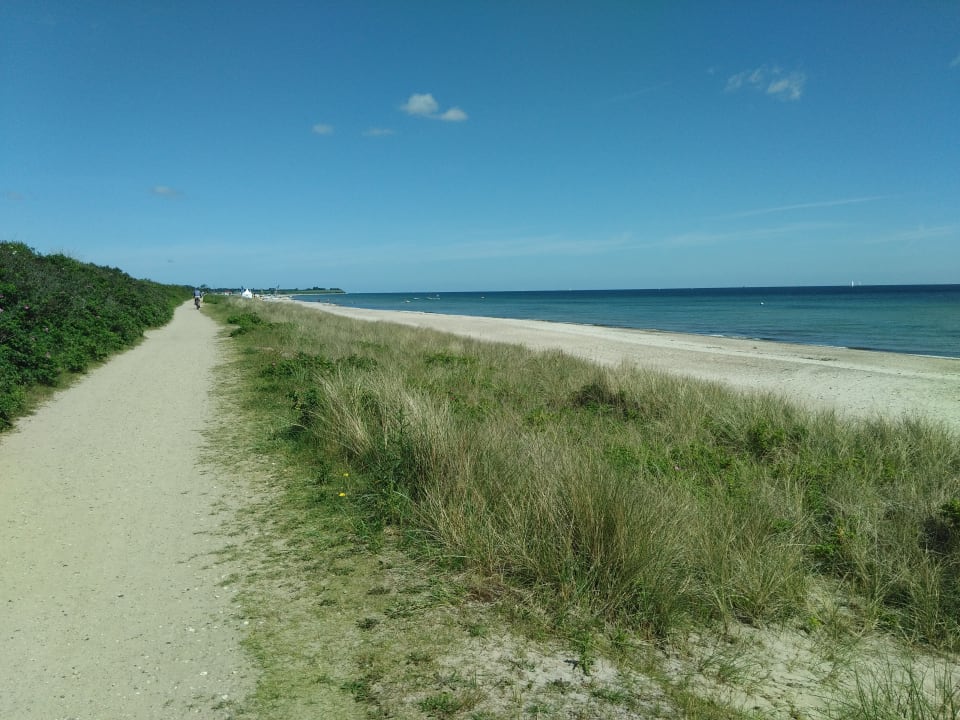 Strand Ferienhauspark Asgard in Damp