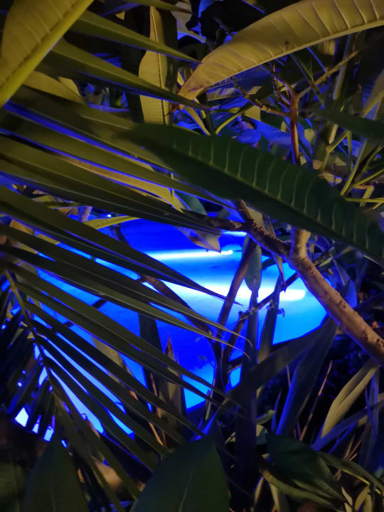 Pool Maxx Royal Belek Golf Resort