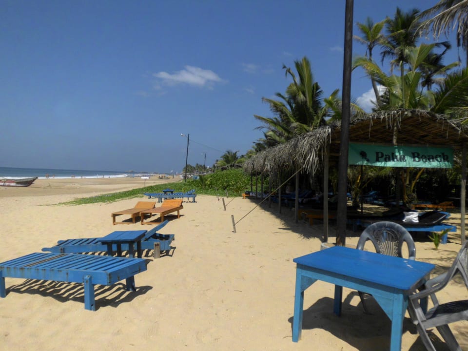 Großer Strandabschnitt Palm Beach Guesthouse