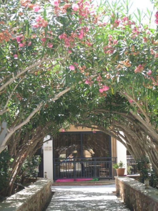 Gartenanlage Hotel Atlantis Beach