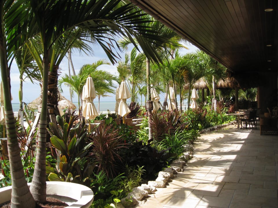 Restaurant Terrasse Hotel Cheeca Lodge and Spa