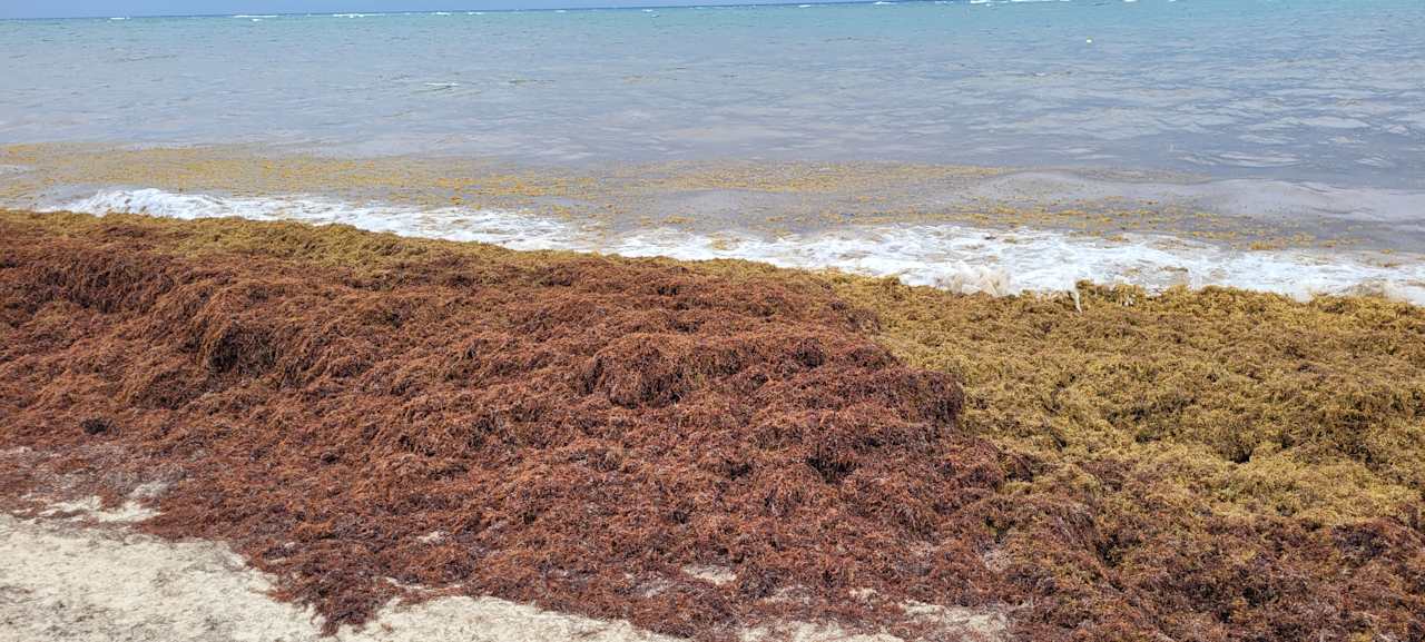 Strand Hotel Riu Palace Macao - Adults only