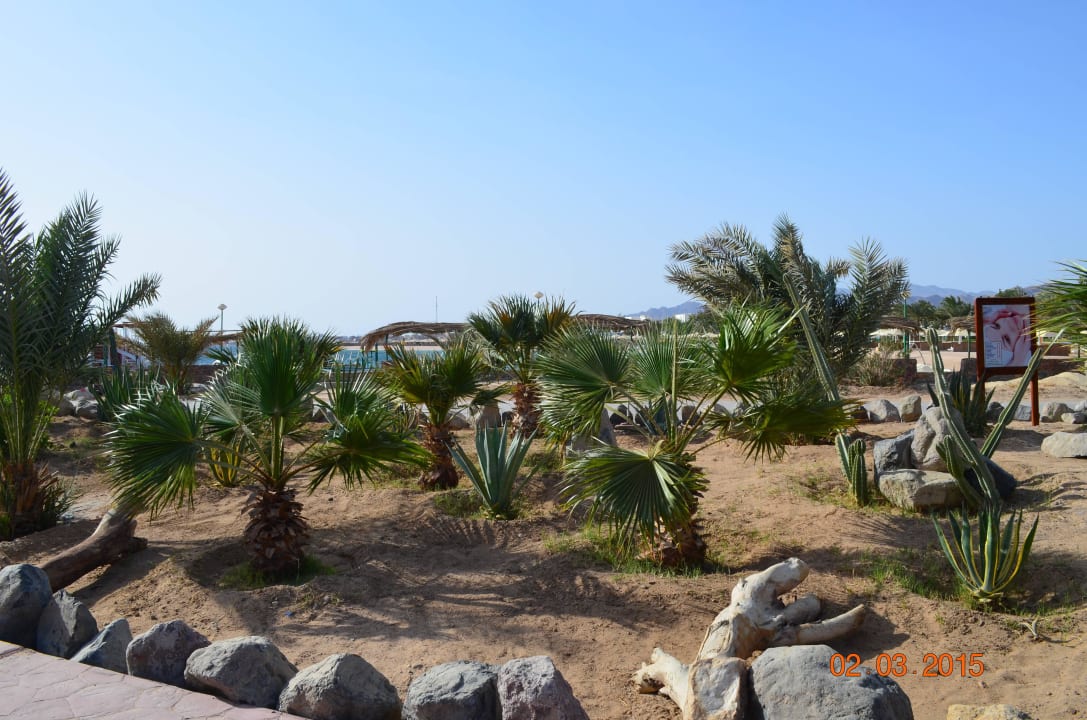 Граница с другим отелем Menaville Safaga