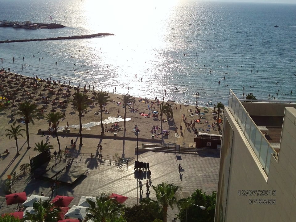 Ausblick whala!beach