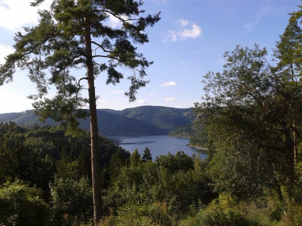Frühstück mit tollem Ausblick Waldhotel am Stausee