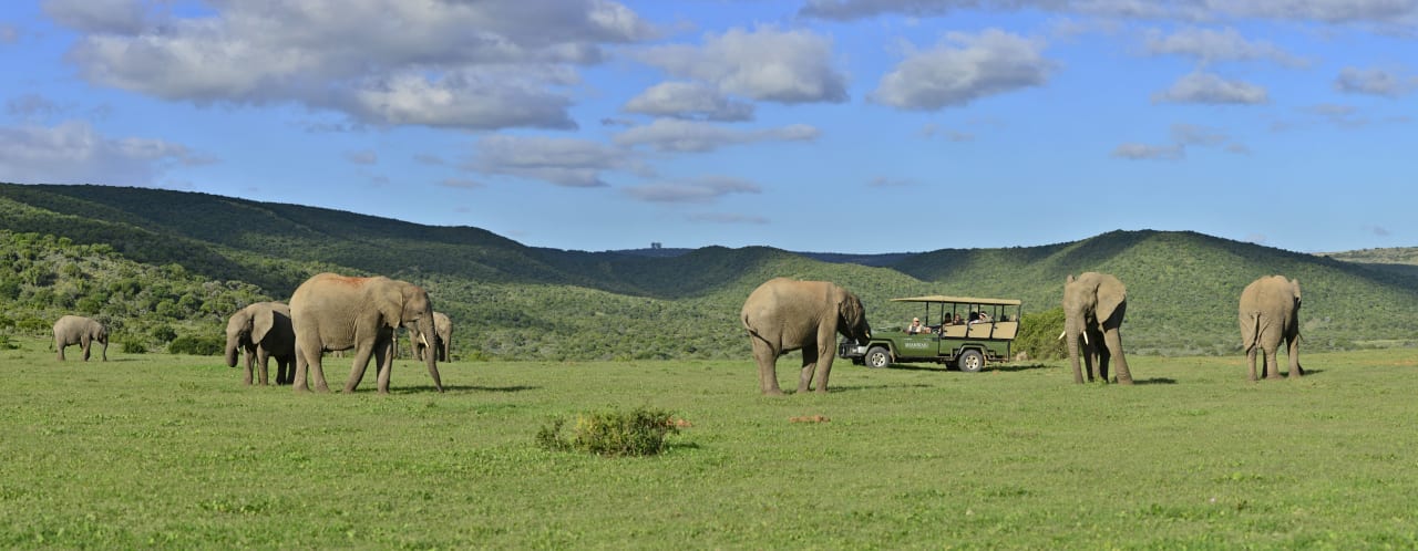 Sport & Freizeit Shamwari Eagles Crag