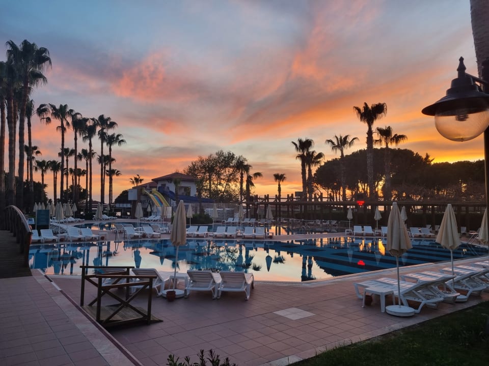 Pool Trendy Palm Beach (Adults Only, 16+)
