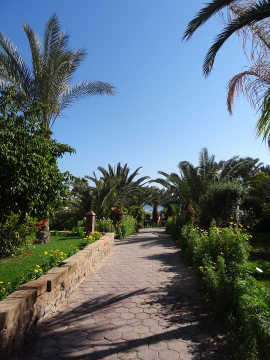 Gartenanlage Fort Arabesque Resort, Spa & Villas