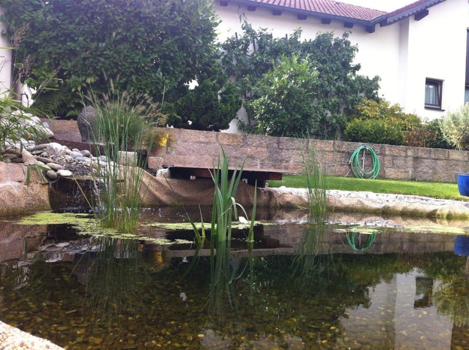 Garten mit Teich zum Entspannen Hotel Fischerwirt
