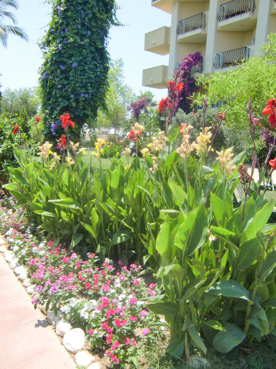 Weg zum Pool Belek Beach Resort Hotel