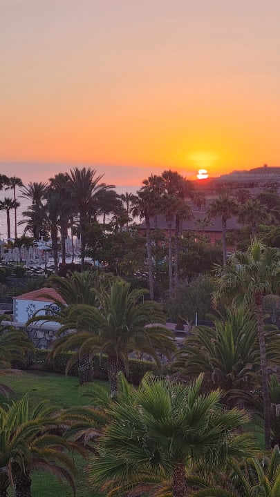 Ausblick Hotel Riu Palace Tenerife