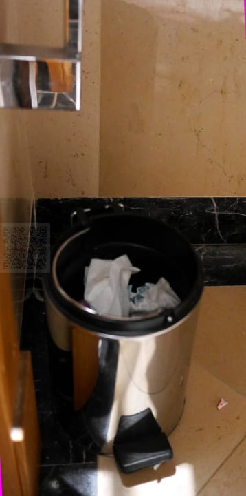 Defekter Restmülleimer im Bad Hotel Cardinal Saint Peter