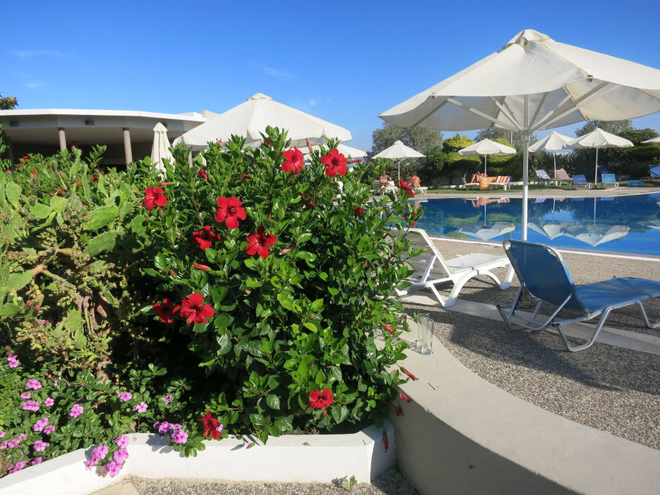 Alles ruhig Hotel Kos Palace