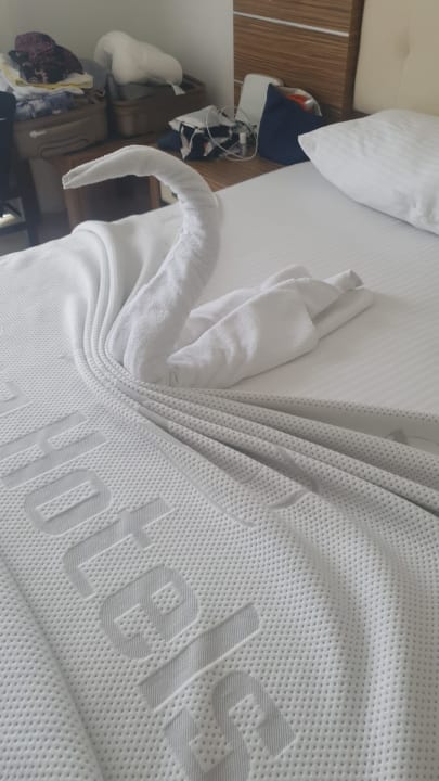 Zimmer Blue Diamond Alya