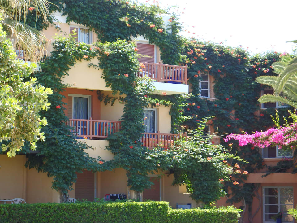 Eine traumhafte Gartenanlage Anissa Beach & Village