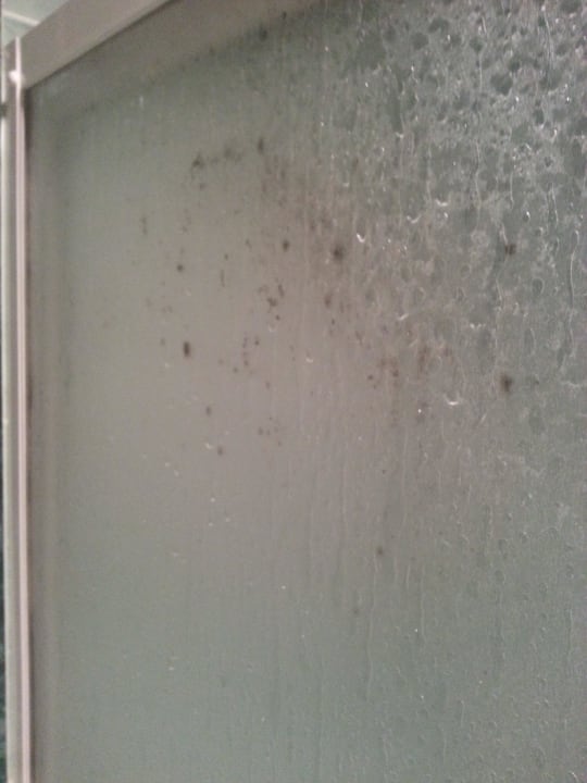 Duschwand (Schimmelbefallen) DAS Club Hotel Sunny Beach