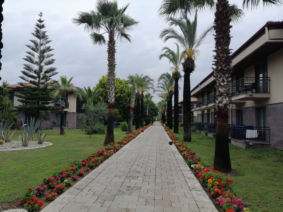 Sonstiges TUI BLUE Palm Garden