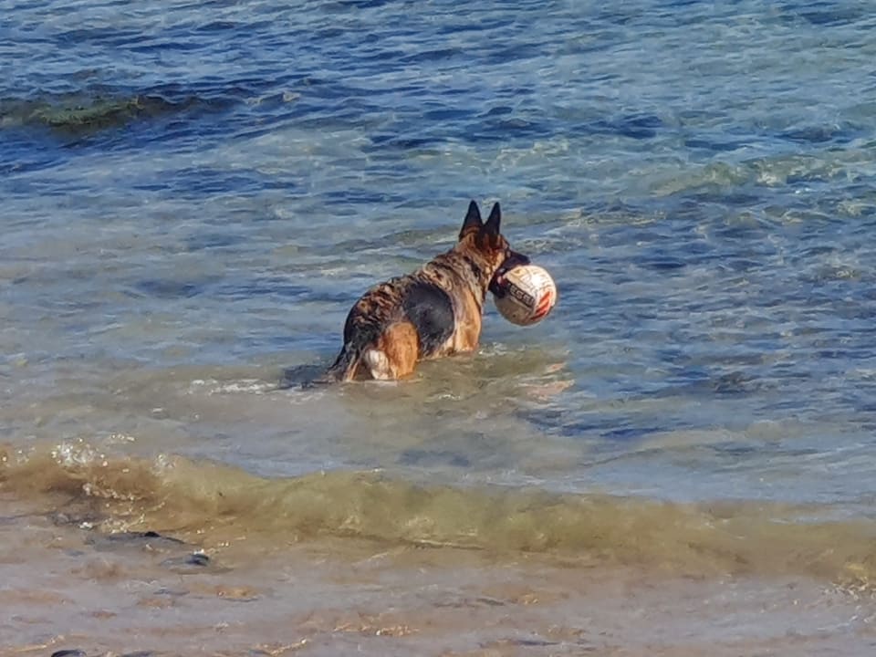 Strand SBH Costa Calma Beach Resort