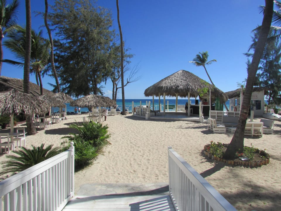 Strandbar whala!bávaro