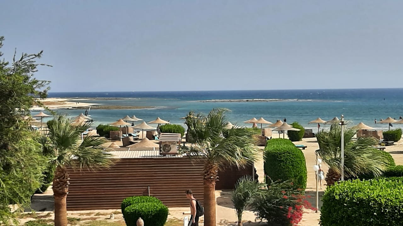 Zimmer Shams Alam Beach Resort