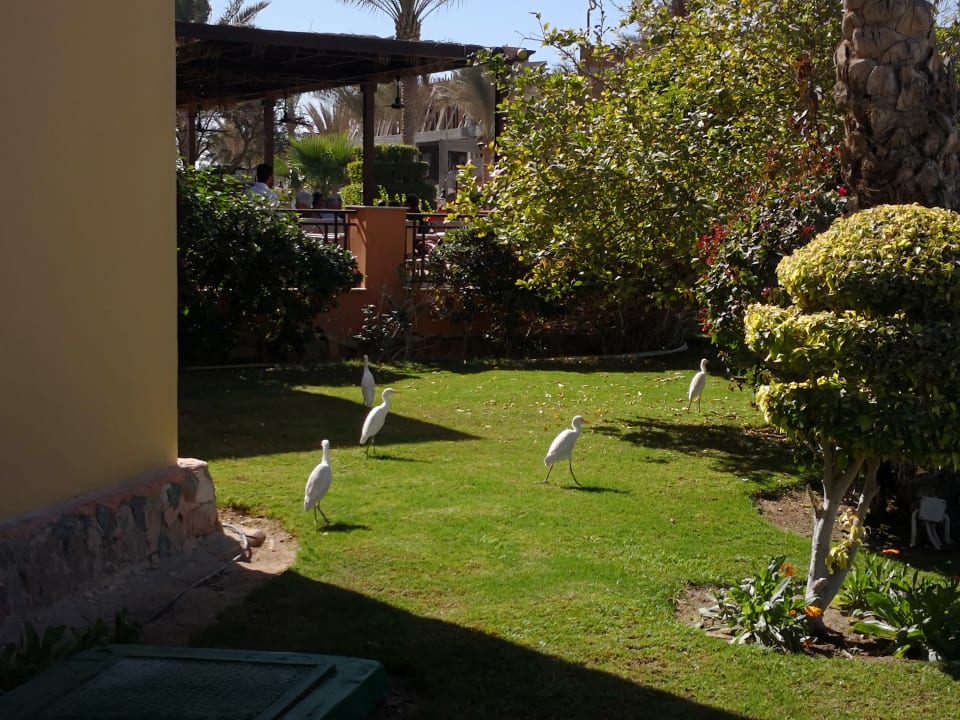 Gartenanlage Jaz Dar EL Madina