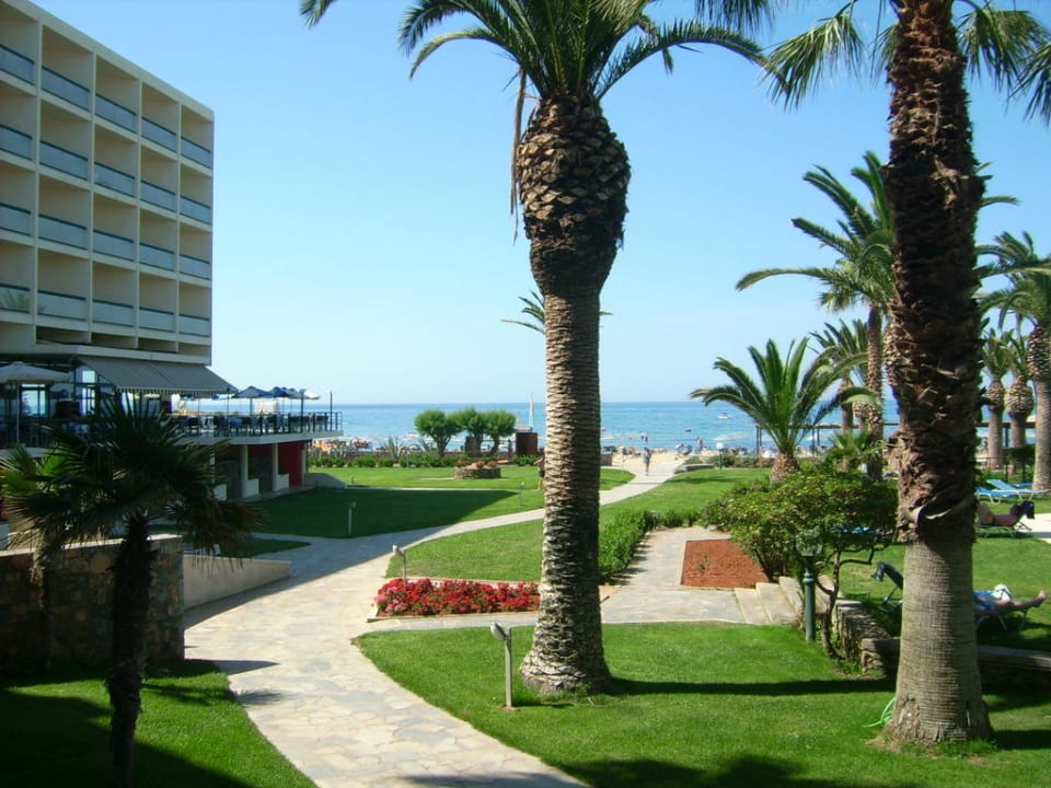 Blick in Richtung Meer Calimera Sirens Beach