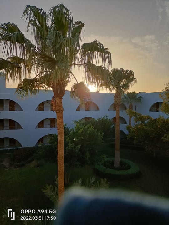 Ausblick Desert Rose