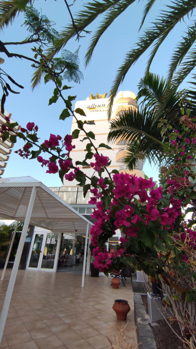 Gartenanlage allsun Hotel Lucana