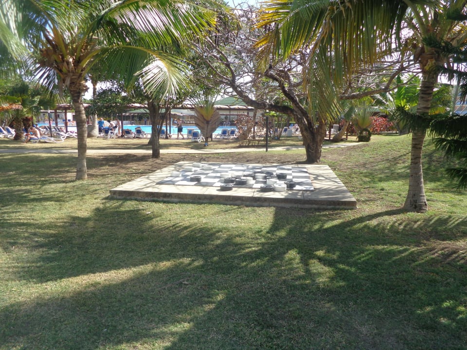 Schachspiel Blau varadero - Adults only