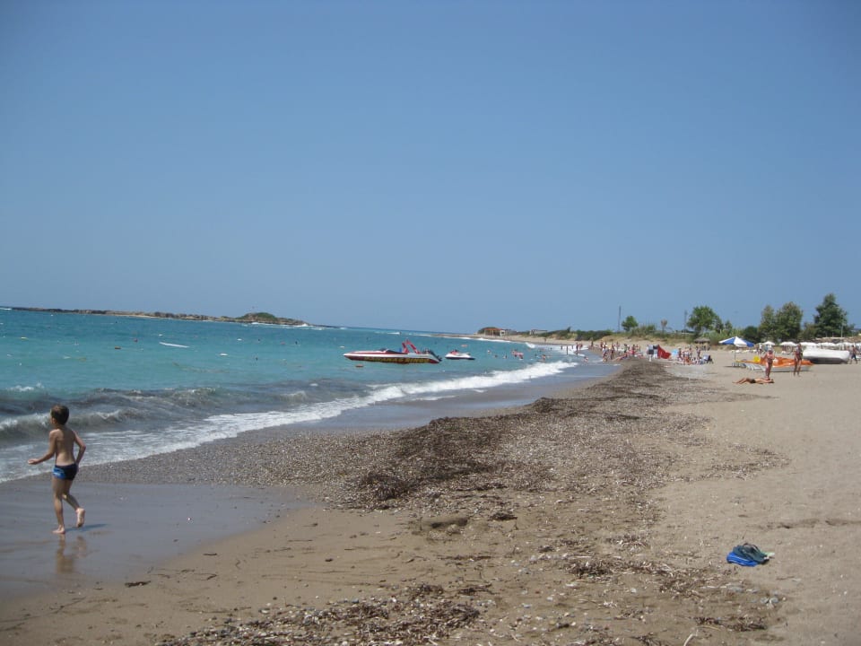 Hier kann man auch mal einen  Spaziergang machen Hotel Gardenia Beach