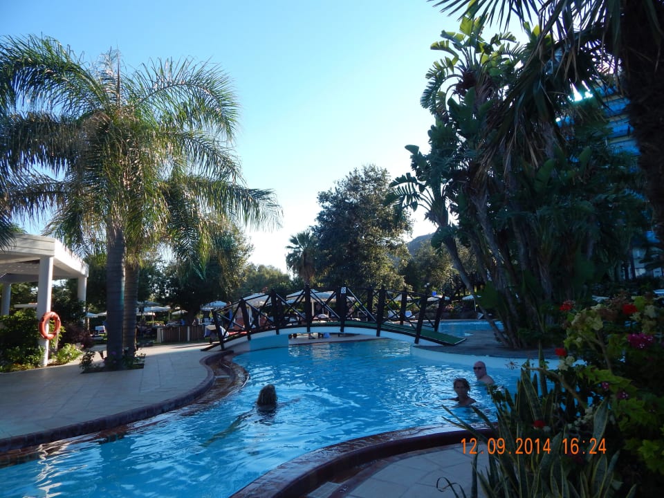 Der herrlich saubere Pool Hotel Calypso Beach