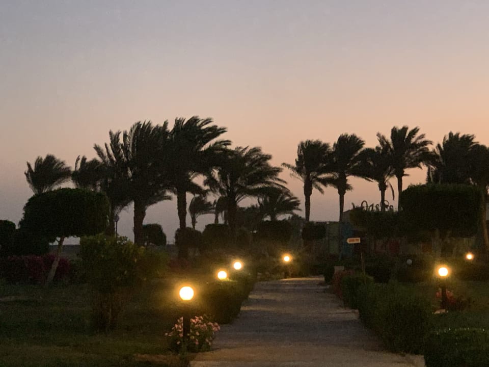 Gartenanlage Hurghada Long Beach Resort