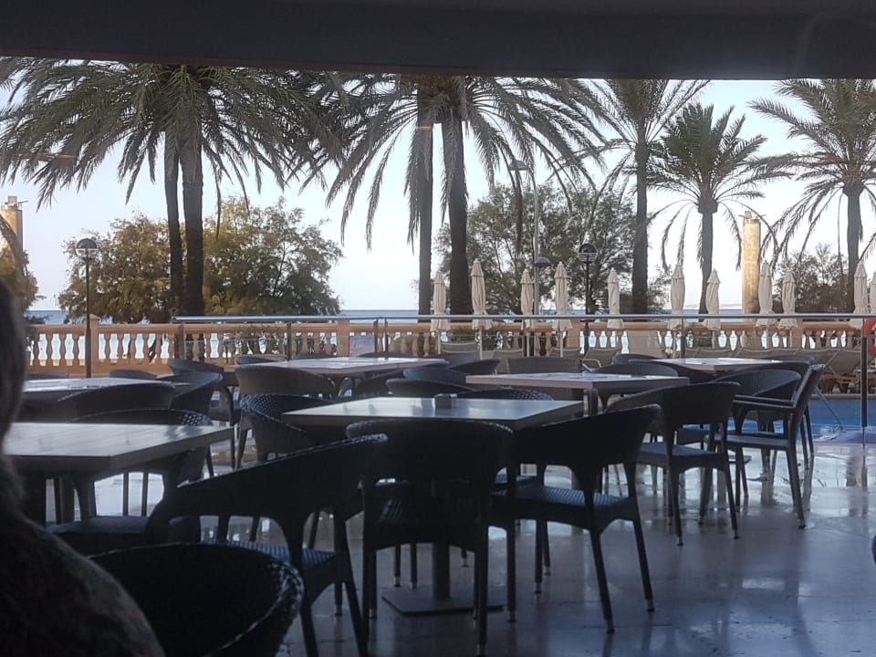 Gartenanlage allsun Hotel Pil-lari Playa
