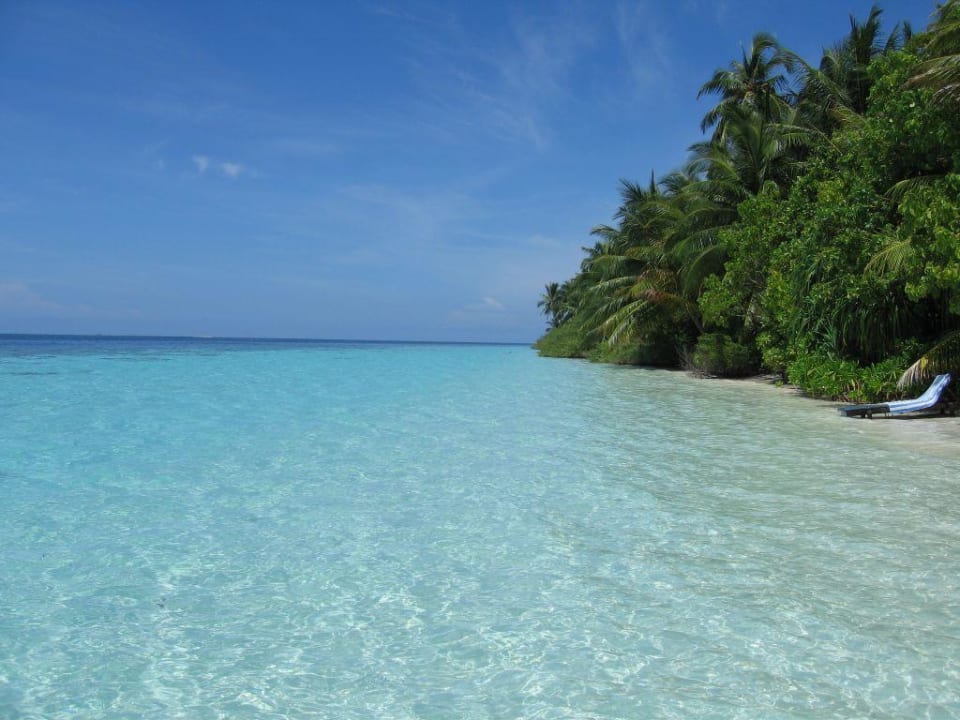 dem Paradies so nah Vilamendhoo Island Resort & Spa