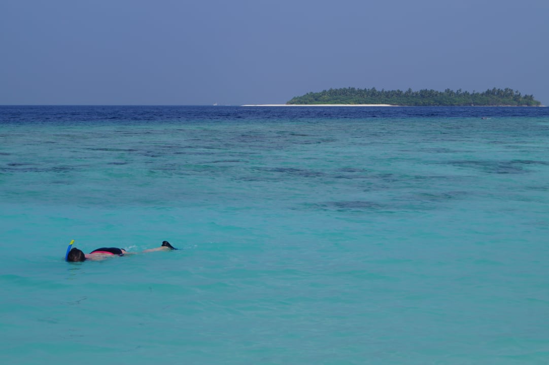 Schnorcheln Schnorcheln Schnorcheln NH Collection Maldives Reethi Resort